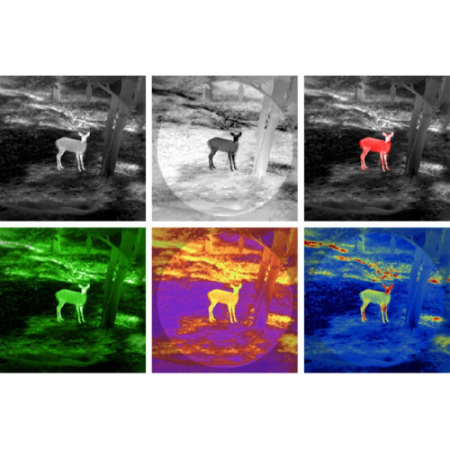 Тепловизионный монокуляр Guide TK451