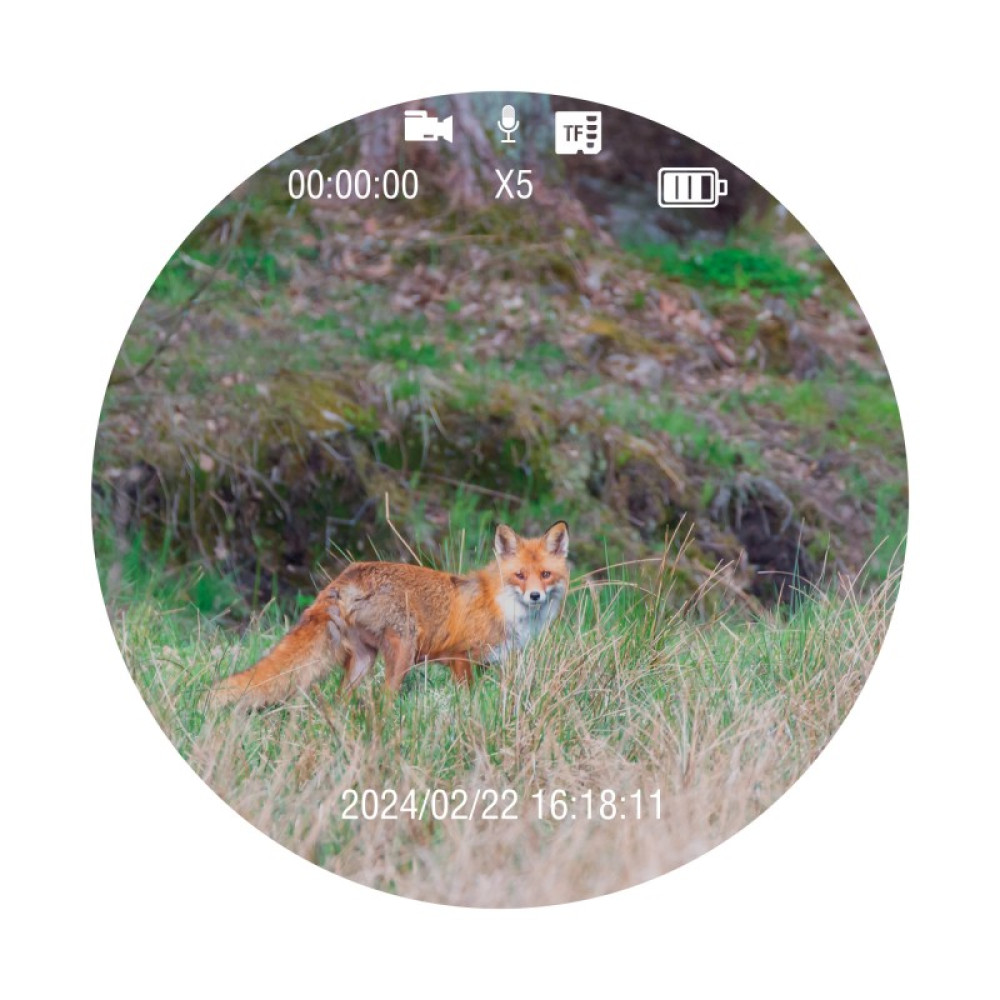 Монокуляр ночного видения Veber DigiView NM-01