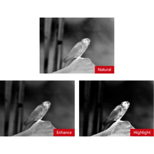 Тепловизионный монокуляр Guide TK451