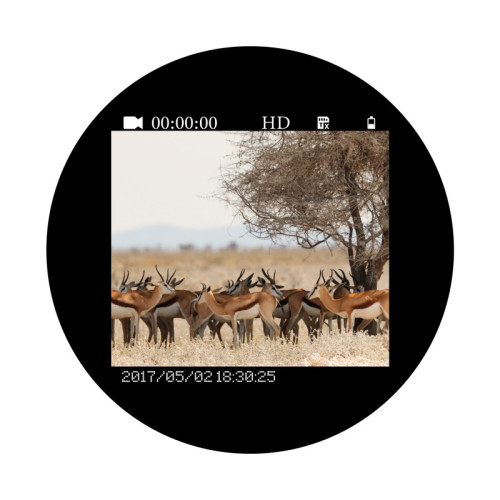 Бинокль ночного видения Veber DigiView NB-02