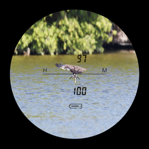 Дальномер Discovery D800 (camo)