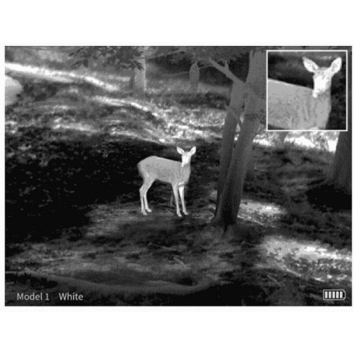 Тепловизионный прицел Guide TS450