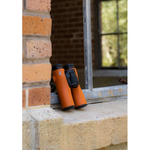 Бинокль Swarovski NL Pure 8x32, Оранжевый