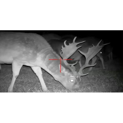 Цифровой ночной прицел PARD NV-008P