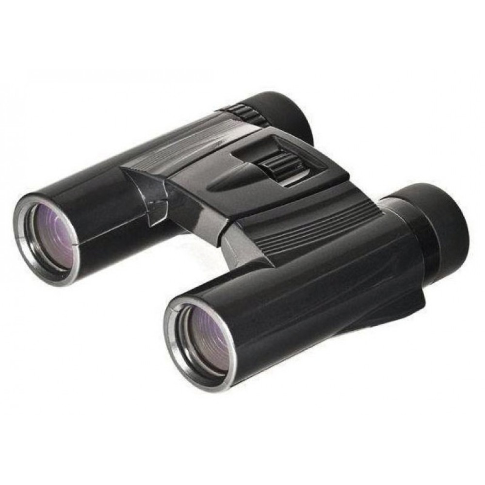 Бинокль Kenko Ultra View 10х25 DH, черный, Черный