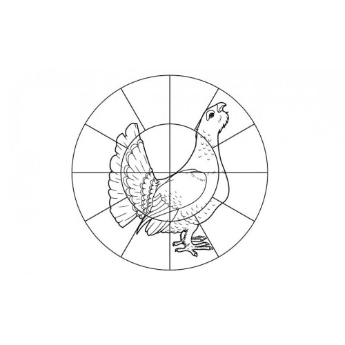 Мишень для пристрелки дробовых ружей 16-дольная "Глухарь"