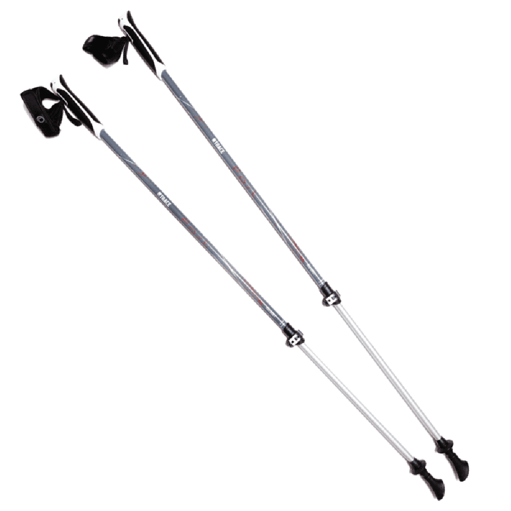 Палки BTrace NW Fast