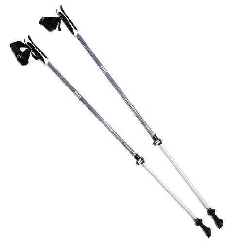 Палки BTrace NW Fast